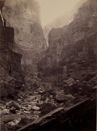 Cañon von Kanab Wash, Colorado River, Blick nach Norden von William H. Bell